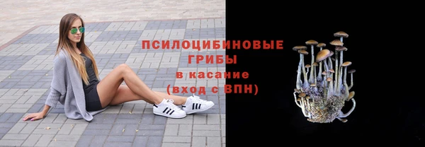a pvp Алексеевка