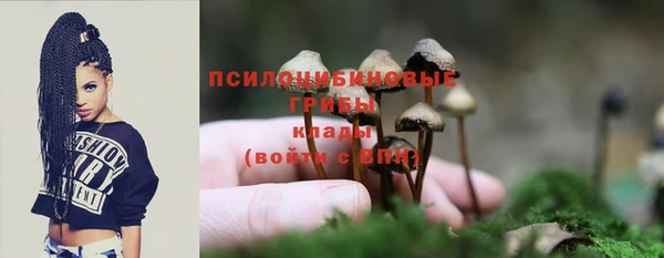 a pvp Алексеевка