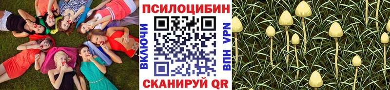 где найти наркотики  Искитим  Галлюциногенные грибы GOLDEN TEACHER 