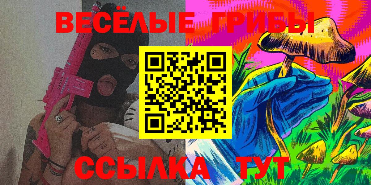 Галлюциногенные грибы Psilocybe Искитим